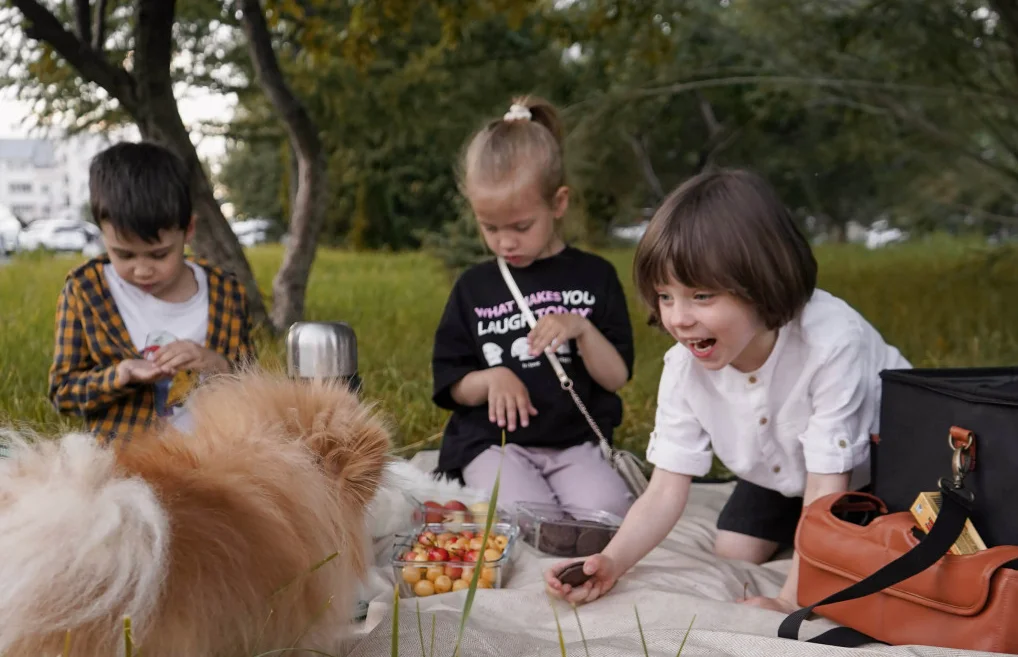 lightweight waterproof picnic blanket